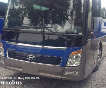 Hyundai Universe Noble  2017 - Cần bán Hyundai Universe nobel năm 2011 xe cũ, nhập Hàn