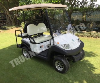 Hãng khác Xe du lịch 2017 - Cần bán xe điện sân Golf đời 2017, màu trắng, nhập khẩu nguyên chiếc