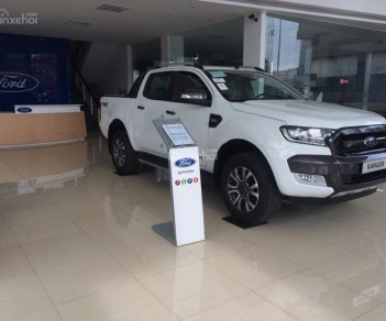 Ford Ranger Wildtrak 2.2L 4x4 AT 2017 - An Đô Ford - bán Ford Ranger Wildtrak nhập khẩu nguyên chiếc giá tốt, khuyến mãi lớn, LH: 0987 987 588