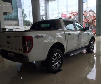 Ford Ranger Wildtrak 2.2L 4x4 AT 2017 - An Đô Ford - bán Ford Ranger Wildtrak nhập khẩu nguyên chiếc giá tốt, khuyến mãi lớn, LH: 0987 987 588