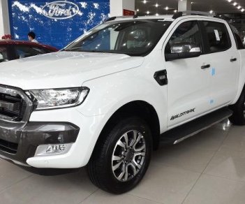 Ford Ranger Wildtrak 2.2L 4x4 AT 2017 - An Đô Ford - bán Ford Ranger Wildtrak nhập khẩu nguyên chiếc giá tốt, khuyến mãi lớn, LH: 0987 987 588