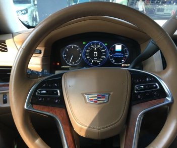 Cadillac Escalade ESV Platinum 2016 - Bán Cadillac Escalade đời 2017 màu trắng, giá chỉ 5 tỷ 800 triệu, nhập khẩu