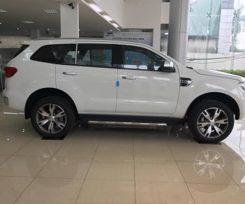 Ford Everest 2.2L 4x2 Titanium AT 2017 - Bán Ford Everest 2.2L 4x2 Titanium AT đời 2017, màu trắng, nhập khẩu