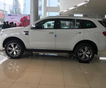 Ford Everest 2.2L 4x2 Titanium AT 2017 - Bán Ford Everest 2.2L 4x2 Titanium AT đời 2017, màu trắng, nhập khẩu