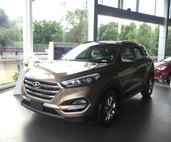 Hyundai Tucson   1.6 Turbo  2018 - Bán xe Hyundai Tucson máy xăng 1.6 turbo tăng áp 2018 đặc biệt - hỗ trợ trả góp 90% xe. Hotline: 0941.46.22.77 đời 2017