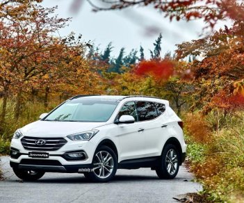 Hyundai Santa Fe 2.2 AT 4WD 2017 - Bán ô tô Hyundai Santa Fe giá tốt - Đại lý chính hãng Hyundai Thành Công, gọi Mr Tiến 0981.881.622