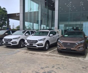 Hyundai Santa Fe 2017 - Cần bán xe Hyundai Santa Fe, màu nâu, giao ngay