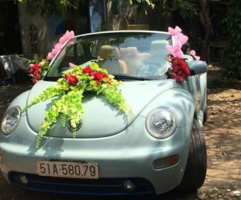 Volkswagen Beetle 2007 - Cần bán xe Volkswagen Beetle đời 2007, nhập khẩu  