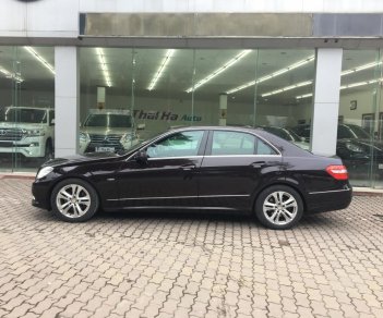 Mercedes-Benz E class E250 AT 2010 - Cần bán Mercedes E250 năm 2010, màu nâu