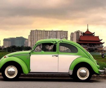 Volkswagen Beetle   1990 - Bán xe Volkswagen Beetle đời 1990, màu xanh, xe nhập