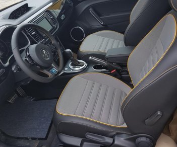 Volkswagen New Beetle AT 2017 - Bán Volkswagen New Beetle năm 2017, màu xám (ghi), xe nhập