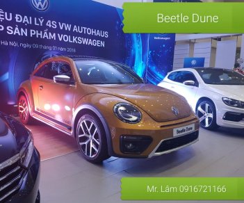 Volkswagen New Beetle AT 2017 - Bán Volkswagen New Beetle năm 2017, màu xám (ghi), xe nhập