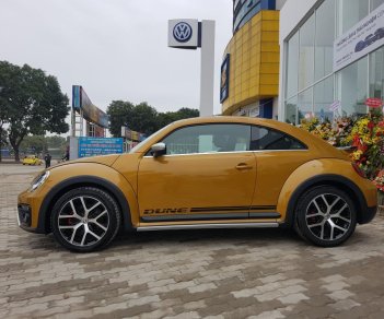 Volkswagen New Beetle AT 2017 - Bán Volkswagen New Beetle năm 2017, màu xám (ghi), xe nhập