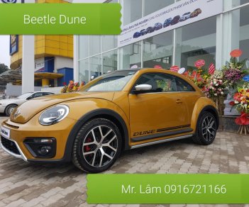 Volkswagen New Beetle AT 2017 - Bán Volkswagen New Beetle năm 2017, màu xám (ghi), xe nhập