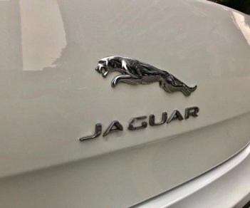 Jaguar XJ 2.0 2014 - Chính chủ bán xe Jaguar XJ 2.0 đời 2014, màu trắng, xe nhập