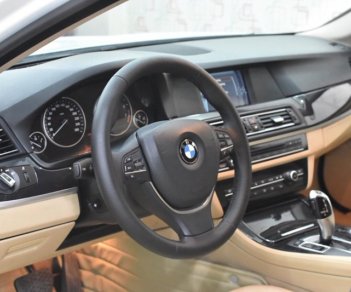 BMW 528i 2013 - Bán BMW 528i đời 2013, màu trắng, xe nhập, số tự động