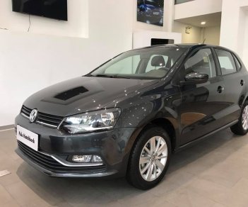 Volkswagen Polo 1.6L 2017 - Bán Volkswagen Polo Hatchback đời 2017, màu đen, nhập khẩu chính hãng LH: 0933.365.188