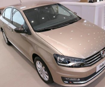 Volkswagen Polo 2018 - Bán ô tô Volkswagen Polo đời 2018, nhập khẩu