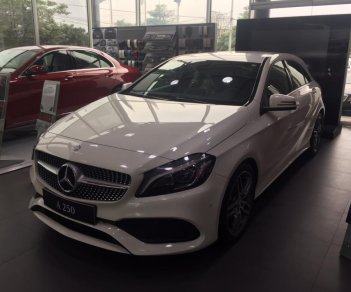 Mercedes-Benz A class A250  2017 - Bán xe Mercedes A250 giá cực tốt,có xe giao ngay