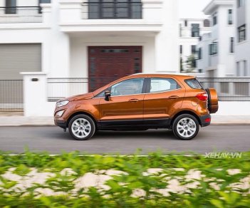 Ford EcoSport 1.0 Ecoboost 2018 - Cần bán Ford EcoSport 1.0 Ecoboost đời 2018, màu nâu, 689tr