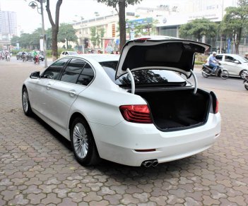 BMW 5 Series 520i 2015 - Cần bán BMW 5 Series sản xuất năm 2015, màu trắng, nhập khẩu