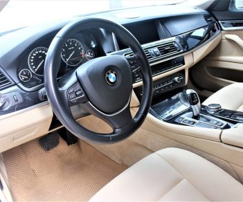 BMW 5 Series 520i 2015 - Cần bán BMW 5 Series sản xuất năm 2015, màu trắng, nhập khẩu