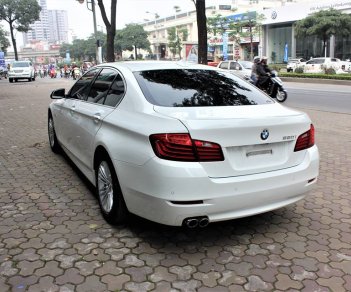 BMW 5 Series 520i 2015 - Cần bán BMW 5 Series sản xuất năm 2015, màu trắng, nhập khẩu