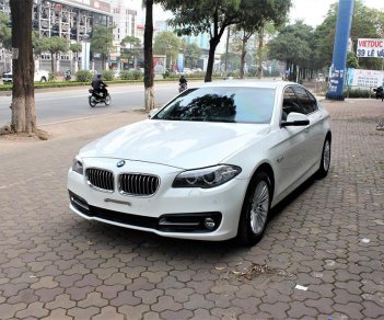 BMW 5 Series 520i 2015 - Cần bán BMW 5 Series sản xuất năm 2015, màu trắng, nhập khẩu