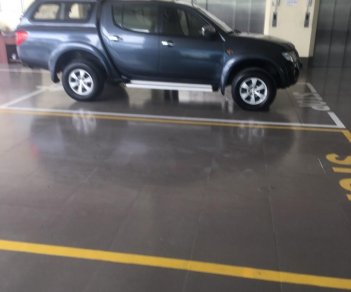 Mitsubishi Triton DID 2009 - Cần bán Mitsubishi Triton DID 2009, màu xám, nhập khẩu nguyên chiếc