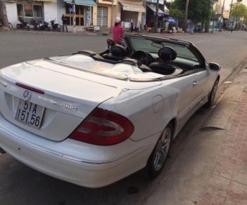 Mercedes-Benz CLK class CLK 320 2005 - Bán ô tô Mercedes CLK 320 sản xuất năm 2005, màu trắng, nhập khẩu số tự động, 650 triệu