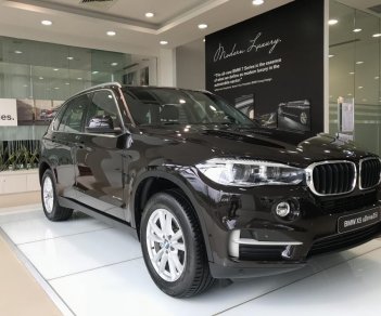 BMW X5 xDrive35i 2018 - Bán xe BMW X5 xDrive35i thể thao, xe 7 chỗ, có xe giao ngay