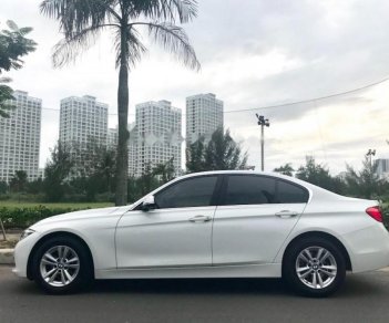 BMW 3 Series 320i 2016 - Bán BMW 3 Series 320i sản xuất năm 2016, màu trắng, nhập khẩu