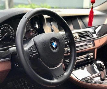 BMW 5 Series 520i 2016 - Bán BMW 5 Series 520i đời 2016, màu đen, xe nhập