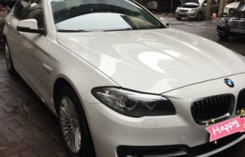 BMW 5 Series 520i 2015 - Bán BMW 5 Series 520i đời 2015, màu trắng