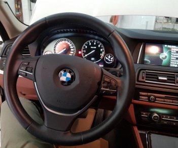 BMW 5 Series 528i 2015 - Bán BMW 5 Series 528i đời 2015, màu trắng, xe nhập