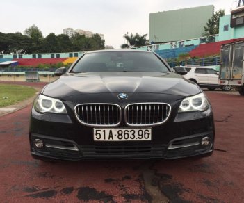 BMW 5 Series 520i 2014 - Bán BMW 5 Series 520i năm 2014, xe nhập khẩu Đức