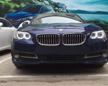 BMW 5 Series    520i  2.0AT  2016 - Bán BMW 5 Series 520i  2.0AT 2016, nhập khẩu  