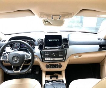 Mercedes-Benz GLE-Class 43 AMG 2017 - Bán xe Mercedes 43 AMG năm sản xuất 2017, màu đỏ, xe nhập