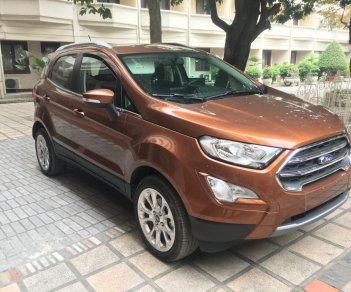 Ford EcoSport  Ecoboost 1.0 AT 2018 - Bán Ford EcoSport Titanium năm sản xuất 2018, màu nâu tại Hưng Yên