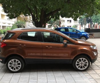 Ford EcoSport  Ecoboost 1.0 AT 2018 - Bán Ford EcoSport Titanium năm sản xuất 2018, màu nâu tại Hưng Yên