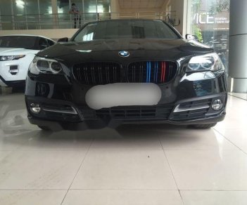 BMW 5 Series  520i 2015 - Bán BMW 5 Series 520i 2015, màu xanh cực độc đáo