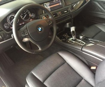 BMW 5 Series  520i 2015 - Bán BMW 5 Series 520i 2015, màu xanh cực độc đáo