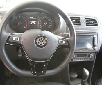 Volkswagen Polo 1.6 AT 2017 - Bán xe Volkswagen Polo 1.6 AT năm sản xuất 2017, màu nâu, nhập khẩu, giá tốt