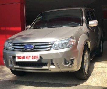 Ford Escape   XLT  2008 - Cần bán xe cũ Ford Escape XLT 2008