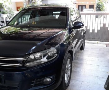 Volkswagen Tiguan 2013 - Bán xe Volkswagen Tiguan đời 2013, màu xanh lam, xe nhập xe gia đình