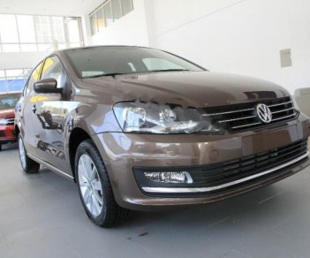 Volkswagen Polo 1.6 AT 2017 - Bán xe Volkswagen Polo 1.6 AT năm sản xuất 2017, màu nâu, nhập khẩu, giá tốt