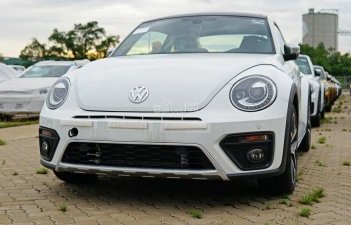 Volkswagen Beetle 2017 - Bán ô tô Volkswagen Beetle 2018, màu trắng, xe nhập