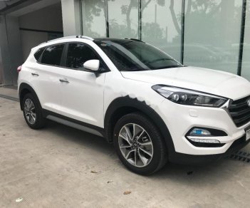 Hyundai Tucson 2018 - Bán ô tô Hyundai Tucson sản xuất 2018, màu trắng, 838 triệu