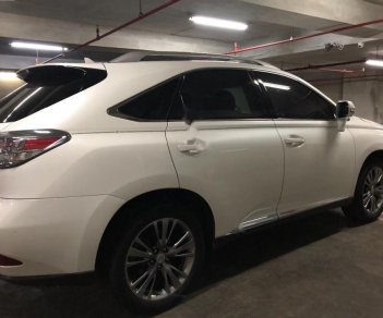 Lexus RX 2009 - Bán Lexus RX sản xuất 2009, màu trắng, nhập khẩu nguyên chiếc