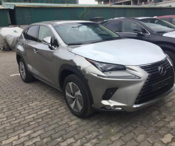 Lexus NX 300 2018 - Bán xe Lexus NX 300 sản xuất 2018, màu bạc, nhập khẩu